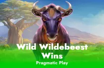 Wild Wildebeest Wins